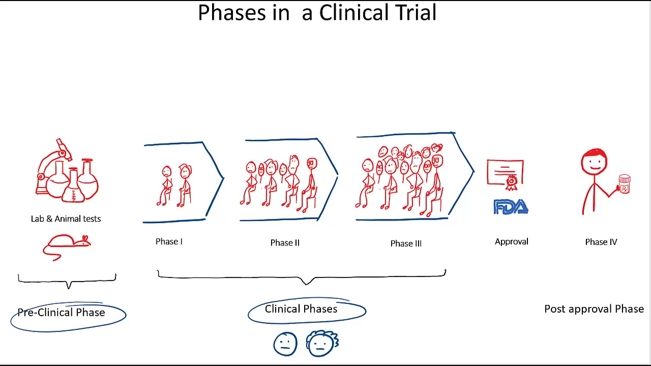 Clinical Trial Phases I to IV: Purpose, Sample Size & Endpoints Video Slide
