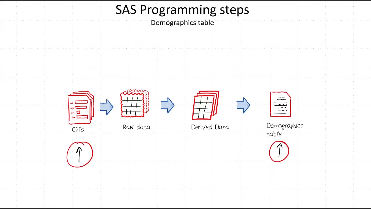Demographics Table 14.1.1: Complete Step-by-Step SAS Workflow Video Slide