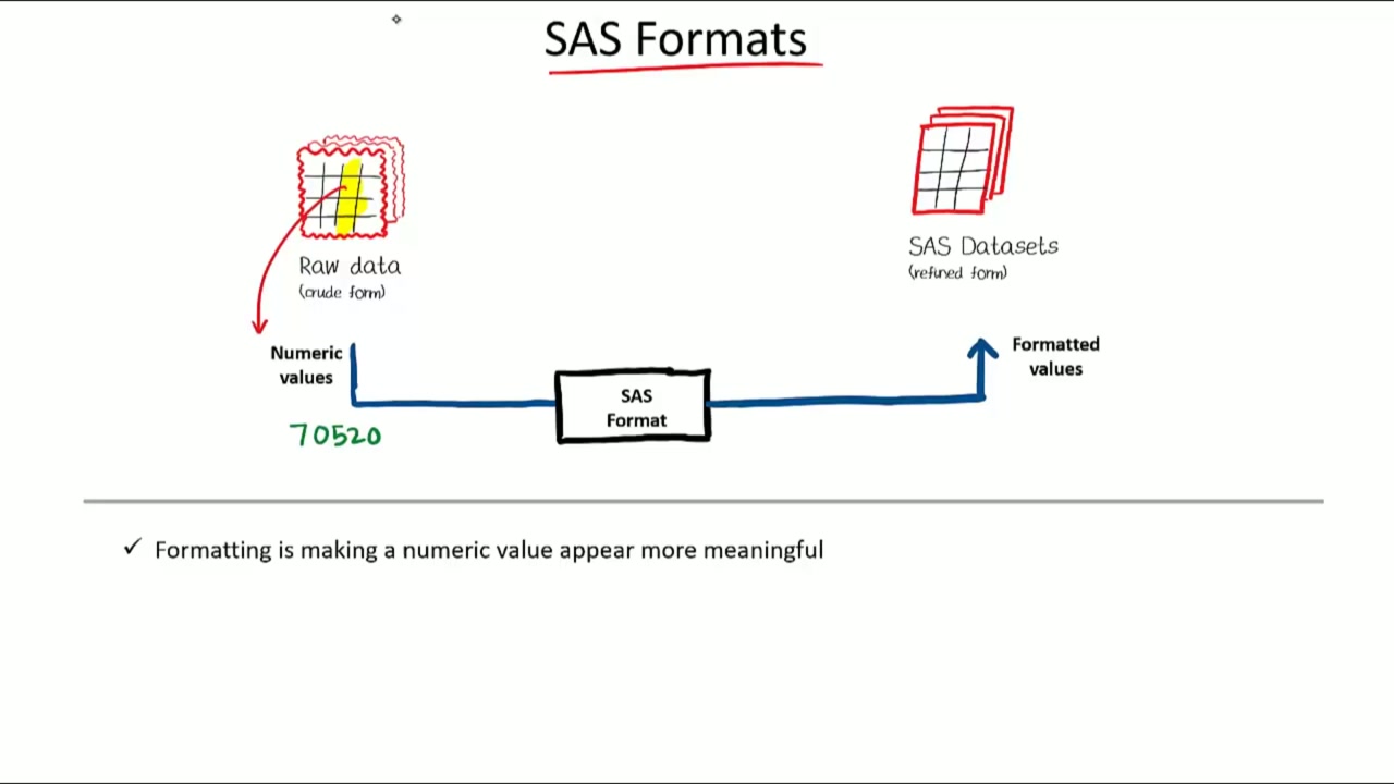 SAS INFORMATS vs. FORMATS & PROC FORMAT Custom Mappings Video Slide