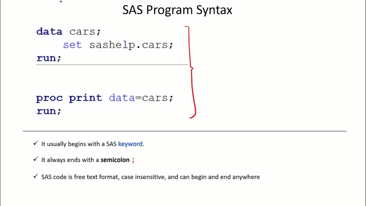 SAS Program Syntax: Statements, Semicolons & Structure Video Slide